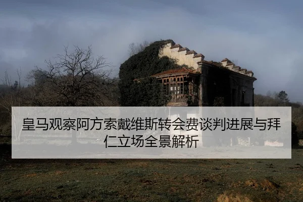 皇马观察阿方索戴维斯转会费谈判进展与拜仁立场全景解析