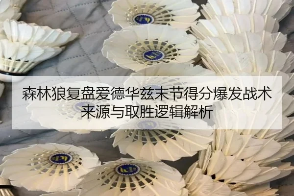 森林狼复盘爱德华兹末节得分爆发战术来源与取胜逻辑解析